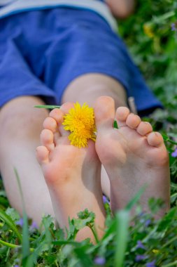 Yalınayak, yeşil çimenlerin üzerinde sarı karahindiba çiçekleri olan bir çocuğun resmini çek. Yaz mevsimi