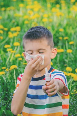 Çiçeklere çocukların alerjisi. Çocuk karahindiba, alerji, hapşırma.
