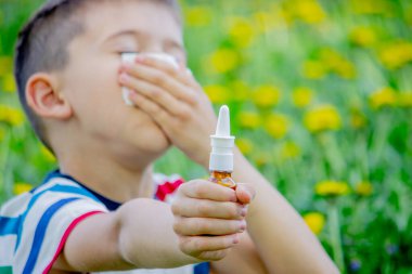 Çiçeklere çocukların alerjisi. Çocuk karahindiba, alerji, hapşırma.
