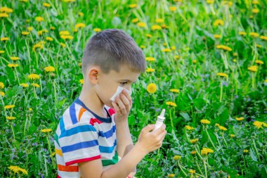 Çiçeklere çocukların alerjisi. Çocuk karahindiba, alerji, hapşırma.