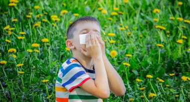 Çiçeklere çocukların alerjisi. Çocuk karahindiba, alerji, hapşırma.