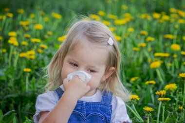 Çocuklarda çiçeklere alerjisi var. Karahindiba, alerji, hapşırma