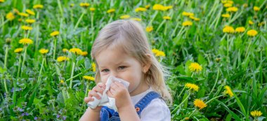 Çocuklarda çiçeklere alerjisi var. Karahindiba, alerji, hapşırma