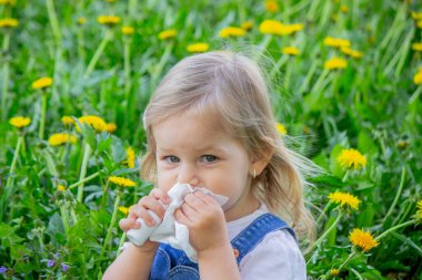 Çocuklarda çiçeklere alerjisi var. Karahindiba, alerji, hapşırma