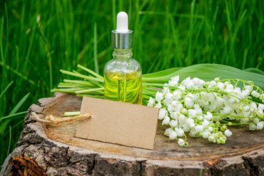 Cam bir şişe nilüfer çiçeği ve taze çiçekli gerekli yağ.