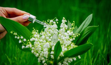 Cam bir şişe nilüfer çiçeği ve taze çiçekli gerekli yağ.