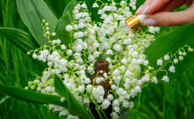 Cam bir şişe nilüfer çiçeği ve taze çiçekli gerekli yağ.