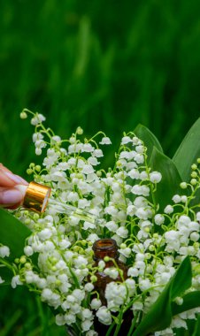 Cam bir şişe nilüfer çiçeği ve taze çiçekli gerekli yağ.