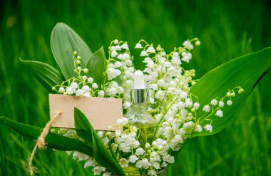 Cam bir şişe nilüfer çiçeği ve taze çiçekli gerekli yağ.