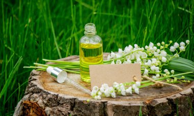 Cam bir şişe nilüfer çiçeği ve taze çiçekli gerekli yağ.