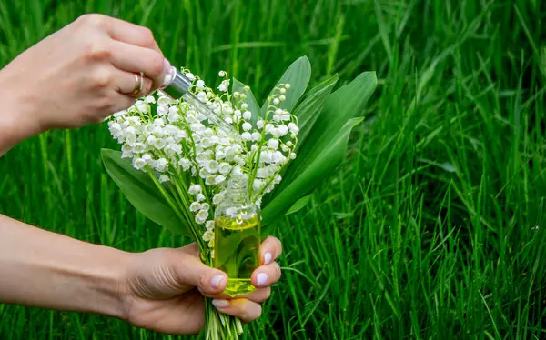 Cam bir şişe nilüfer çiçeği ve taze çiçekli gerekli yağ.