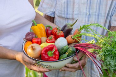 Bahçe 'de toplanan sebzelerle kıdemli çift.