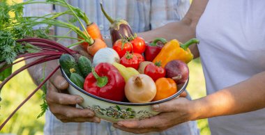 Bahçe 'de toplanan sebzelerle kıdemli çift.