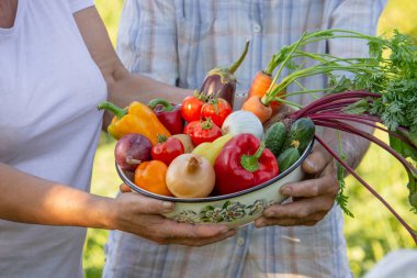 Bahçe 'de toplanan sebzelerle kıdemli çift.