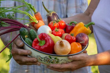 Bahçe 'de toplanan sebzelerle kıdemli çift.