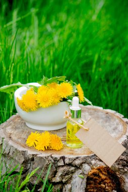 Ahşap bir kütük üzerinde esaslı yağ ya da karahindiba özü. Doğa.