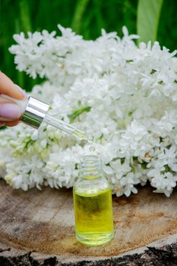 Ahşap bir kütükte leylak yağı. Kokulu yağ ve leylak çiçekli bir şişe..