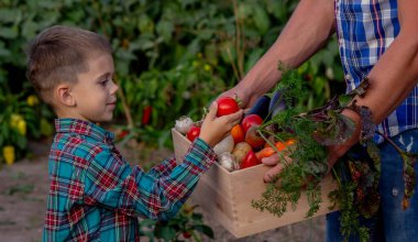 Bahçede Taze Sebze Sepeti Getiren Çocuk.