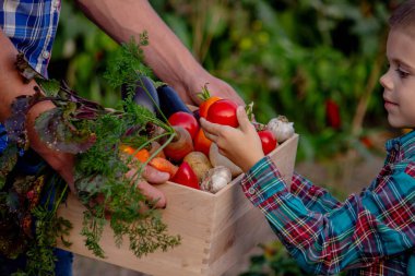 Bahçede Taze Sebze Sepeti Getiren Çocuk.