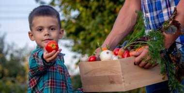 Bahçede Taze Sebze Sepeti Getiren Çocuk.