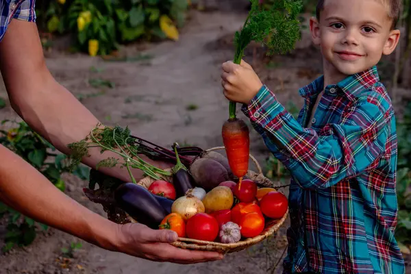 Bahçede Taze Sebze Sepeti Getiren Çocuk.