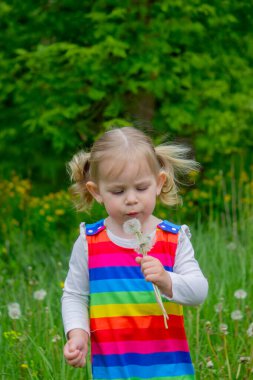 Yazın sokakta karahindiba çiçeğine üfleyen sevimli küçük kız. Çocuk Alerjisi.