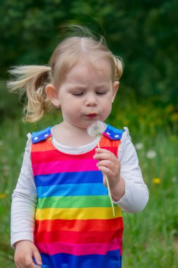 Yazın sokakta karahindiba çiçeğine üfleyen sevimli küçük kız. Çocuk Alerjisi.