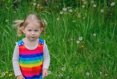 Yazın sokakta karahindiba çiçeğine üfleyen sevimli küçük kız. Çocuk Alerjisi.