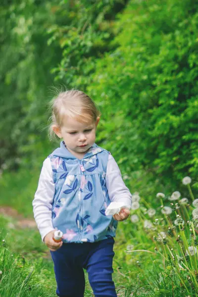 Yazın dışarıda karahindiba çiçeğine üfleyen tatlı küçük kız. Bir Çocukta Alerji