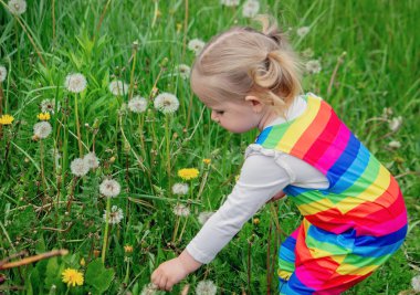 Yazın sokakta karahindiba çiçeğine üfleyen sevimli küçük kız. Çocuk Alerjisi.