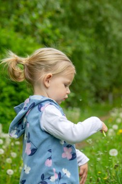 Yazın dışarıda karahindiba çiçeğine üfleyen tatlı küçük kız. Bir Çocukta Alerji