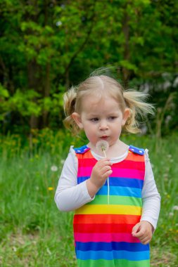 Yazın sokakta karahindiba çiçeğine üfleyen sevimli küçük kız. Çocuk Alerjisi.