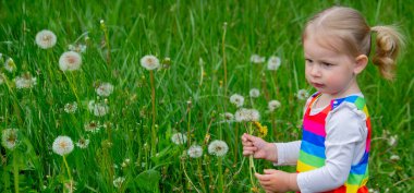 Yazın sokakta karahindiba çiçeğine üfleyen sevimli küçük kız. Çocuk Alerjisi.