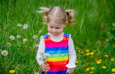 Yazın dışarıda karahindiba çiçeğine üfleyen sevimli küçük kız. Bir Çocukta Alerji