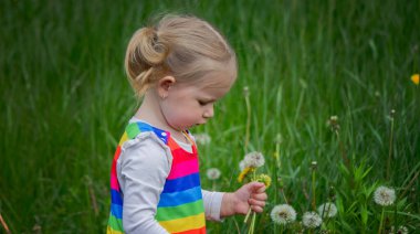 Yazın sokakta karahindiba çiçeğine üfleyen sevimli küçük kız. Çocuk Alerjisi.