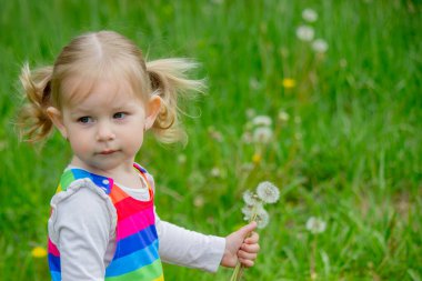 Yazın sokakta karahindiba çiçeğine üfleyen sevimli küçük kız. Çocuk Alerjisi.