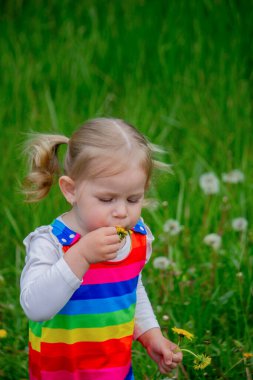 Yazın sokakta karahindiba çiçeğine üfleyen sevimli küçük kız. Çocuk Alerjisi.