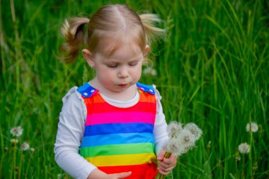 Yazın sokakta karahindiba çiçeğine üfleyen sevimli küçük kız. Çocuk Alerjisi