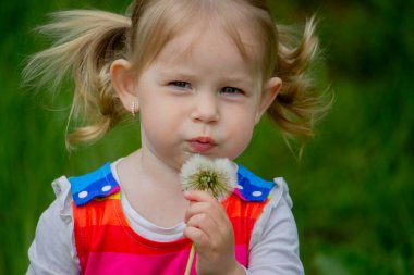 Yazın sokakta karahindiba çiçeğine üfleyen sevimli küçük kız. Çocuk Alerjisi