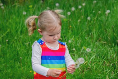 Yazın sokakta karahindiba çiçeğine üfleyen sevimli küçük kız. Çocuk Alerjisi.