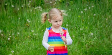 Yazın sokakta karahindiba çiçeğine üfleyen sevimli küçük kız. Çocuk Alerjisi.