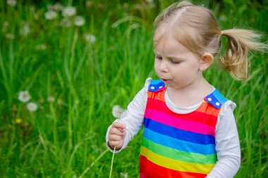Yazın sokakta karahindiba çiçeğine üfleyen sevimli küçük kız. Çocuk Alerjisi.