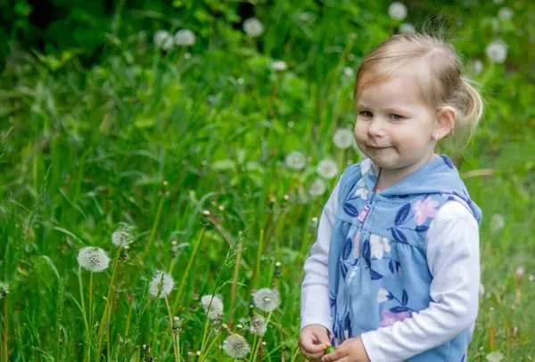 Yazın dışarıda karahindiba çiçeğine üfleyen tatlı küçük kız. Bir Çocukta Alerji