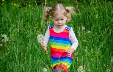 Yazın sokakta karahindiba çiçeğine üfleyen sevimli küçük kız. Çocuk Alerjisi