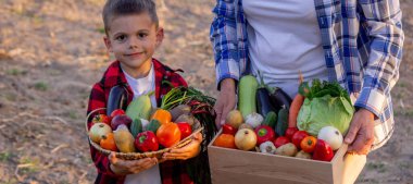 Yaşlı çiftçi kadın elinde taze sebzelerle dolu bir sandık ve elinde kase tutan bir çocuk tutuyor. Hasat et