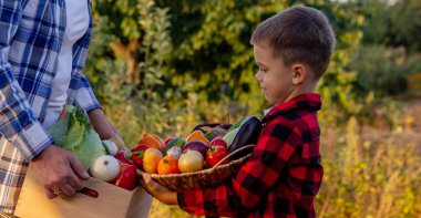 Yaşlı çiftçi kadın elinde taze sebzelerle dolu bir sandık ve elinde kase tutan bir çocuk tutuyor. Hasat et