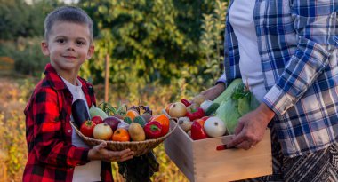 Yaşlı çiftçi kadın elinde taze sebzelerle dolu bir sandık ve elinde kase tutan bir çocuk tutuyor. Hasat et