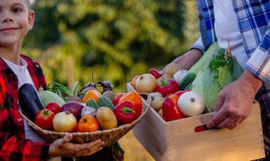Yaşlı çiftçi kadın elinde taze sebzelerle dolu bir sandık ve elinde kase tutan bir çocuk tutuyor. Hasat et