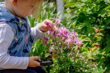 Küçük kız büyüteçten çiçeklere bakıyor. Seçici odak.