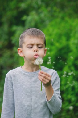 Çocuk karahindiba üflüyor. Alerji